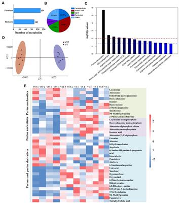 Purine metabolism regulates Vibrio splendidus persistence associated with protein aggresome formation and intracellular tetracycline efflux